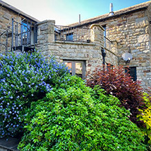 ae595514-d486-4a1c-8c5a-a63183929790