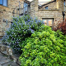 d390b113-cfa7-4ee5-9f85-33e8b33b7664